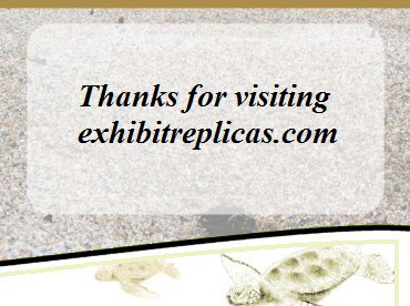 Contact Exhibit Replicas if you are looking for a specific bird, animal, fish or crustacean replica