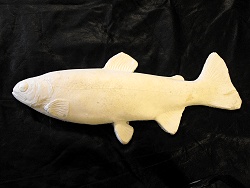 Unfinished Rainbow Trout Replica