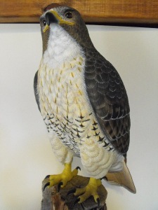 Our replicas are an ideal alternative to skin-mounted animals