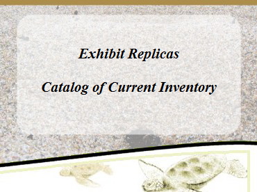 We are constantly updating our inventory of lifelike crustacean, fish, animal and bird reproductions