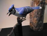 Blue Jay ER-DM-1