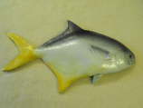 Pompano MRR-F4