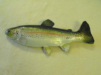 Rainbow Trout MRR-F5