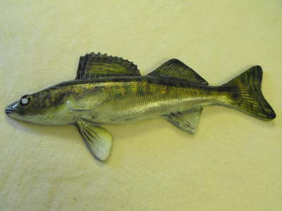 Walleye Pike MMR-F9
