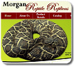 Reptile and amphibian replicas available at reptilereplicas.com